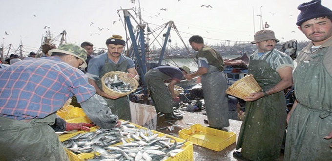 Pêche : environ 130.000 tonnes de poissons débarquées en 2018 à Tan-Tan