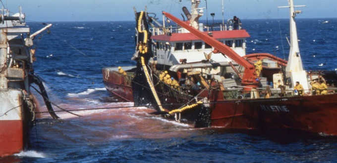 Maroc/UE : le Conseil de l’UE adopte l’accord de pêche