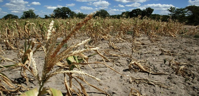 Climat: appel à une résilience au changement climatique dans le secteur agricole