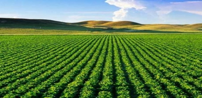 Des apports de 26 MM DH grâce aux secteurs clés du Maroc 