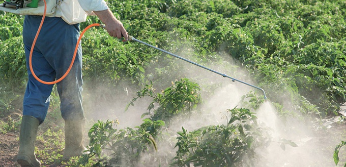 Teneur en pesticides : l’ONSSA lance une étude