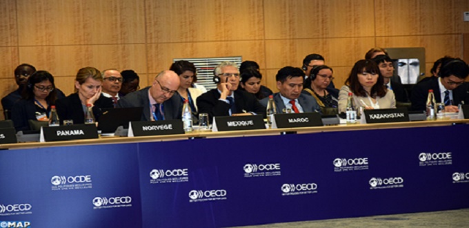 OCDE : Le Maroc prône le renforcement de la coopération africaine