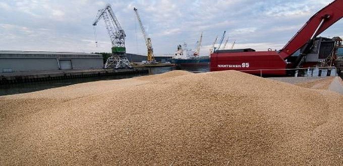 Les droits de douane seront réintroduits sur les importations de blé tendre