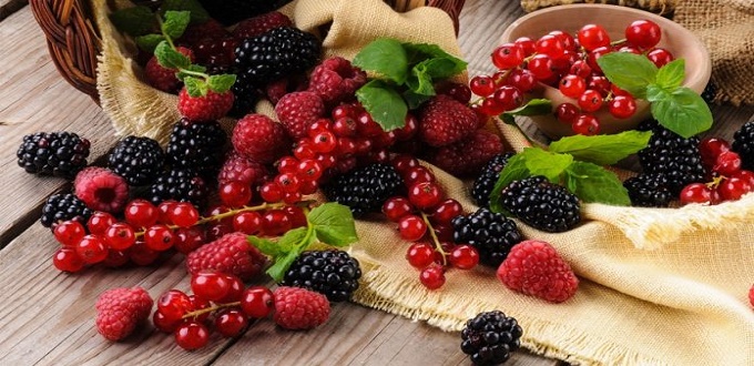 Fraise, framboise, cerise...ces fruits rouges qui cartonnent