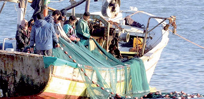 Pêche côtière et artisanale: hausse de 6% des débarquements à fin mai (ONP)