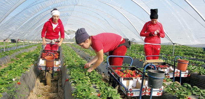 Cueillette de fraises à Huelva, de quoi découle la convention ?