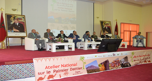 SIDATTES 2019 : Signature d’un accord entre l’ANDZOA et l’INRA