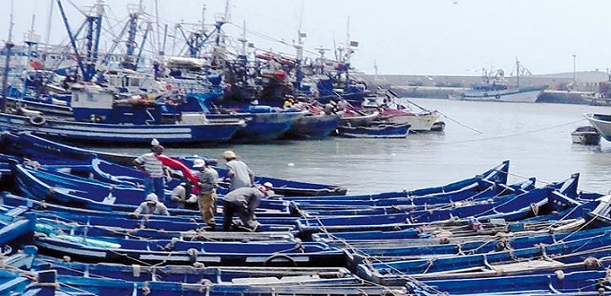 Pêche : hausse de la valeur des produits commercialisés de 2% à fin mars 2024
