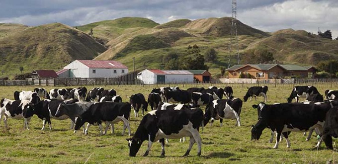 Le Maroc favorable à l’importation de viande de bœuf depuis la Russie