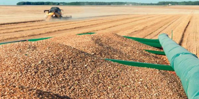 Les acteurs de la filière céréalière louent la qualité du blé local