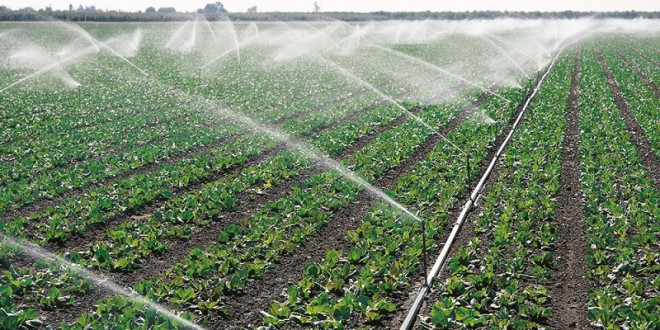 Le Programme d’économie d’eau touchera 160.000 agriculteurs