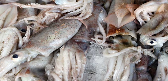 Le Brésil pourrait exporter du poisson au Maroc