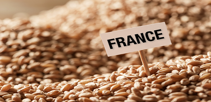 La France et le Maroc signent une convention pour dynamiser l’importation du blé