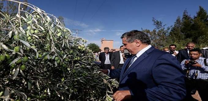 Agriculture : Al Jayl Al Akhdar  impactera 400.000 familles selon le ministre