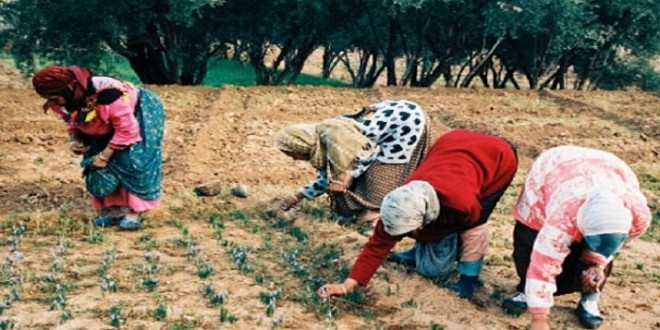 Marché de travail: les femmes toujours mal loties