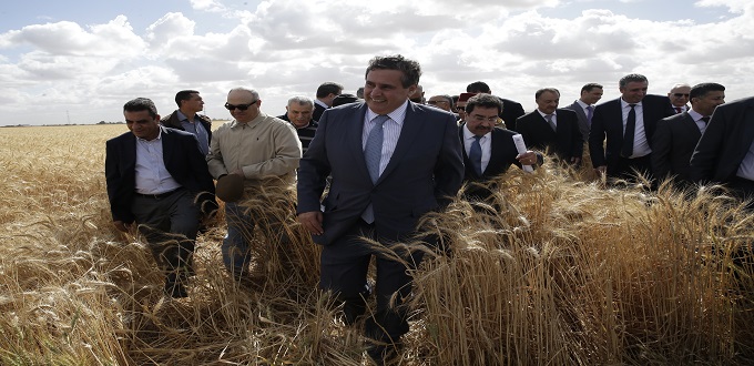 Sécheresse: Akhannouch engage une subvention pour sauver le bétail