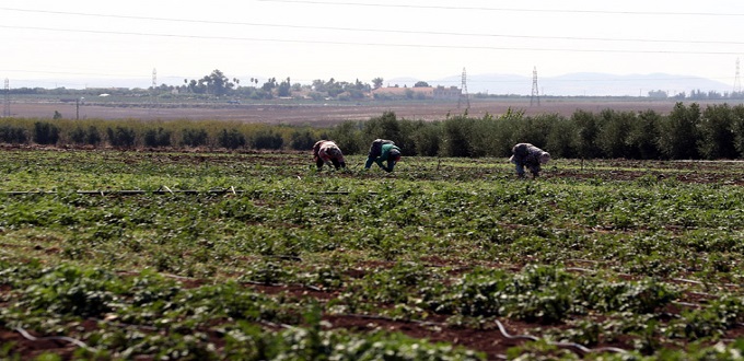 Campagne agricole 2019-20: « une pluviométrie limitée » (ministère)