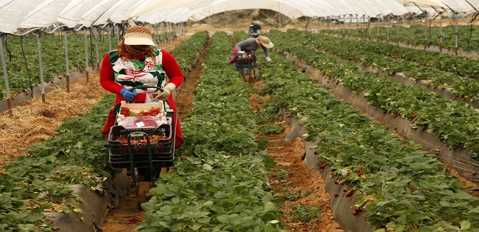 Les associations espagnoles exigent le départ des saisonnières marocaines