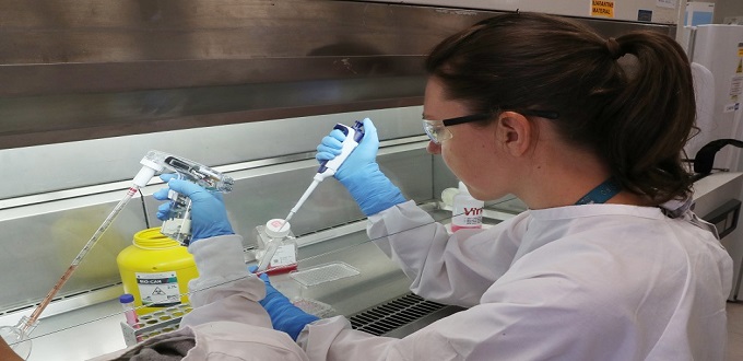 Post-Covid-19 : Fomagov plaide pour le renforcement de la prévention sanitaire