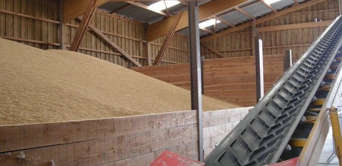 Céréales : la moitié des besoins annuels du Maroc stockée