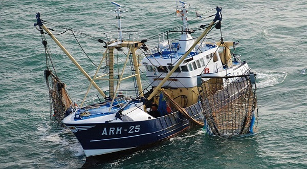 Pêche: Hausse des débarquements de 21% à fin juin