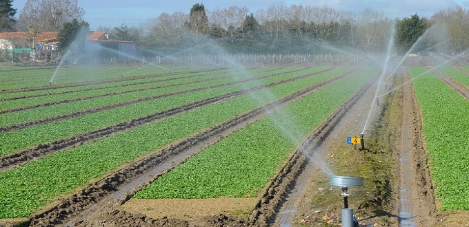 Extension du programme d'économie d'eau en irrigation à un million d'hectares d'ici 2030