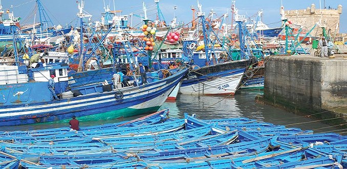 Pêche côtière et artisanale: Recul de 8% des débarquements au S1-2020