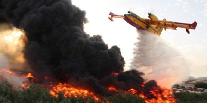 M'diq-Fnideq : l'incendie de la forêt "Kodiat Tifour presque entièrement circonscrit