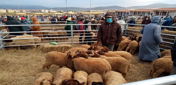 Fermeture de souks à bestiaux pour non-respect des mesures sanitaires