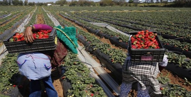 Poursuites judicaires/ Lalla Mimouna : la COMADER alerte sur les risques du secteur