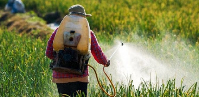 Le Maroc 15èm pays au monde en termes d’utilisation de pesticides à l’hectare