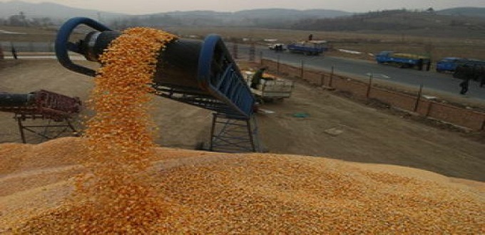 Céréales: Hausse des importations de 51% à fin août