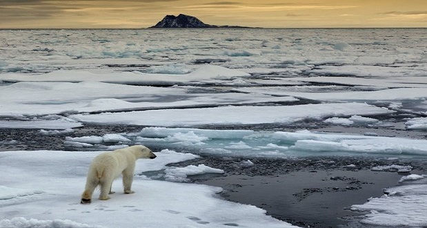 Changement climatique: les inquiétudes de plus en plus croissantes