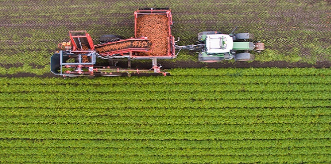 Pluviométrie: Les agriculteurs se rejouissent des premières averses