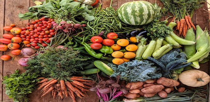 PLF2021 : Forte pression de la TVA sur les fruits et légumes
