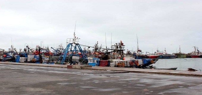 Pêche côtière et artisanale: Repli de 4% des débarquements