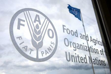 FAO: Les prix mondiaux des produits alimentaires ont poursuivi leur repli en décembre