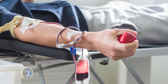 Du sang créé en laboratoire transfusé à des volontaires, une première mondiale