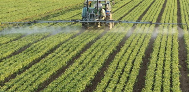 Filière phoenicicole: Plantation de 3,06 millions de plants