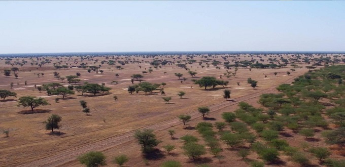 Biodiversité : un "One Planet Summit" à Paris pour relancer la diplomatie verte