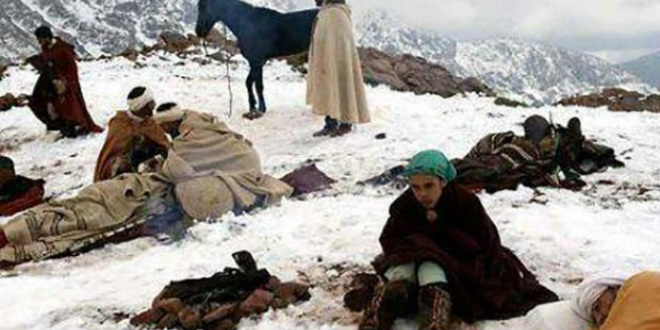 Médiation Sociale: 4000 personnes ont rejoint leurs familles