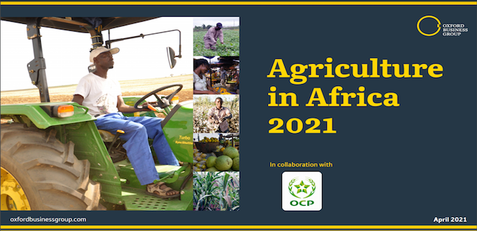 « Agriculture in Africa 2021 »: OBG et OCP analysent l'industrie agricole