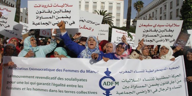 Rapport sur la violence contre les hommes : "précédent inacceptable”, selon L’ADFM