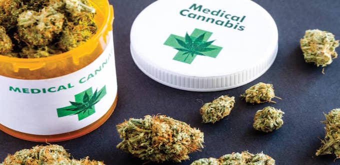Le cannabis médicinal deviendra-t-il la première exportation du Maroc?