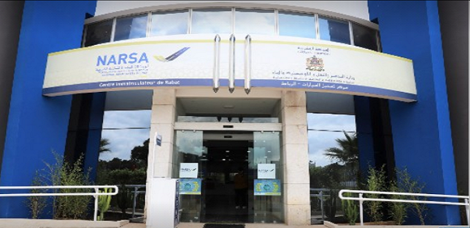 NARSA lance une nouvelle plateforme de consultation des infractions au code de la route