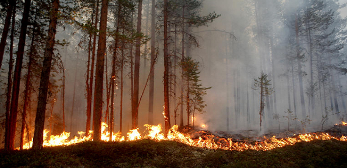 Incendies de forêts: risque "moyen" à "extrême", du 22 au 24 juin, dans plusieurs provinces