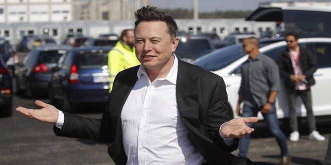 Elon Musk perd 200 milliards de dollars de sa fortune