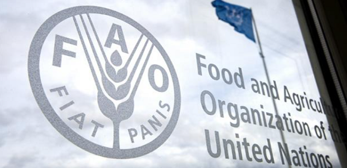 FAO: Les prix alimentaires globalement stables en novembre