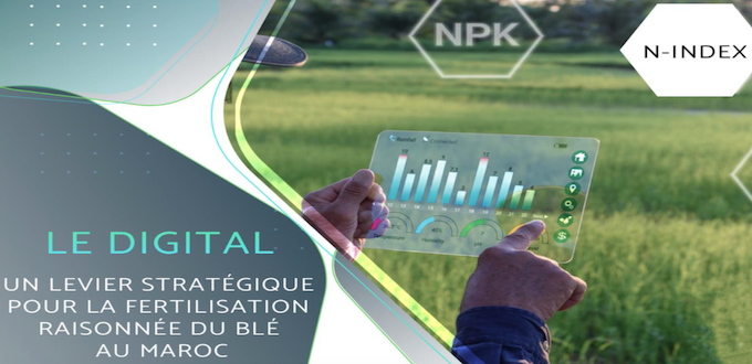 L’indice digital d’azote, le N-IndeX pour booster la production de blé