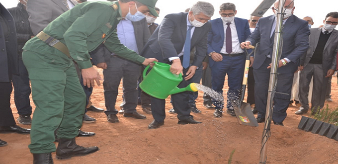 Souss-Massa: lancement de chantiers inscrits dans le Plan Forestier Régional